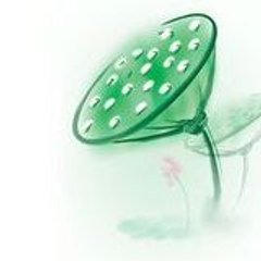 燃燈之旅