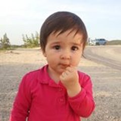 muratyrd