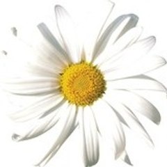 margueriteetcompagnie