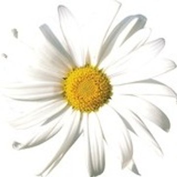 margueriteetcompagnie