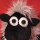 waverider67