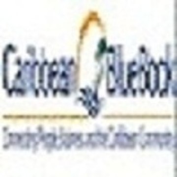 caribbeanbluebook1