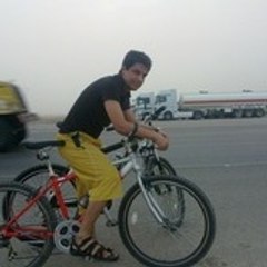 pic1395