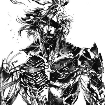 Raiden-Alex