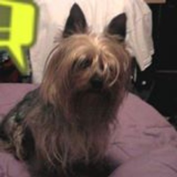 Jose Ramon Vazquez Castro