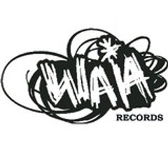 WAIARECORDS2011