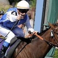 goldikova_superstar