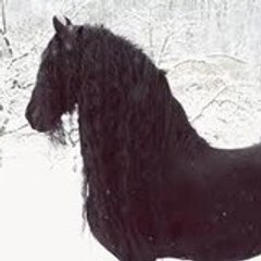 Mélina Petitberghien