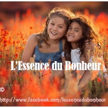 Lessencedubonheur