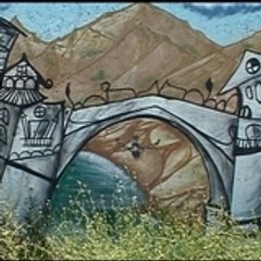 yasinkaracavus