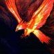phenix_76600