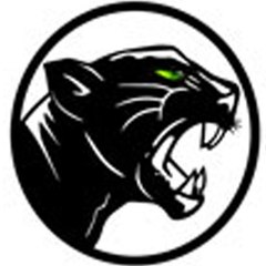 Panthera Group