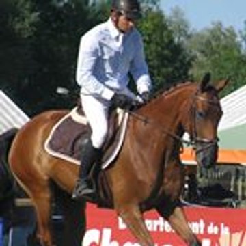 cavalier24