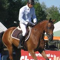 cavalier24