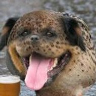 Ronan FLEURAT LESSARD