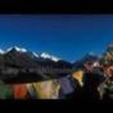WildFilmsIndia WildFilmsIndia