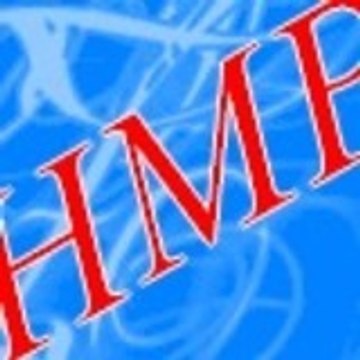 HollowarMomoProject