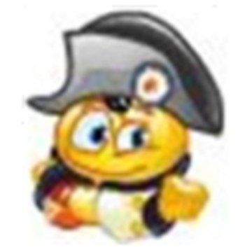 The Napoleon Bonaparte Channel