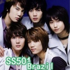 SS501brazsil