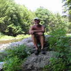stephen brown
