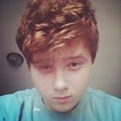 wallfenify