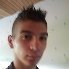 guioullier teddy
