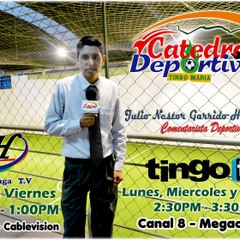 Nestor Garrido Huarancca-Catedra Deportiva