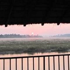 Jungle sunset camp