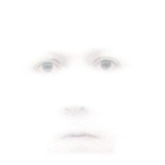 Wildlife in Cornwall