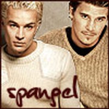 SpangelFanHardyBoyz