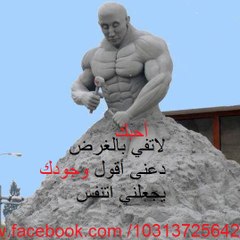 ALAMAER