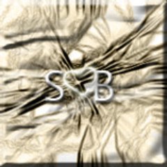 Sensizlik S B
