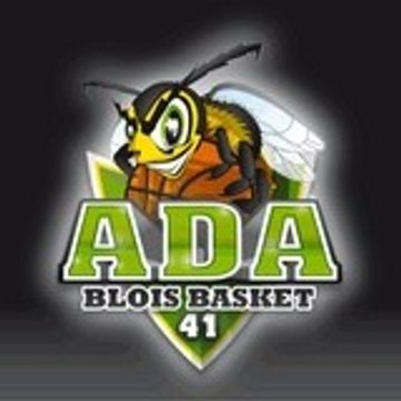 ADABloisBasket41