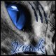 JaeckK