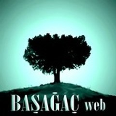 basagacweb