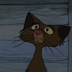TibsAriel91