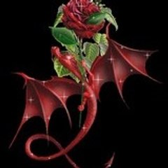 davidwithyou