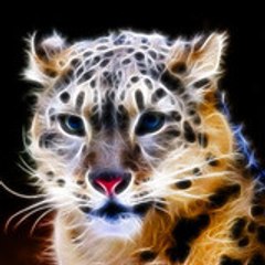 roislions
