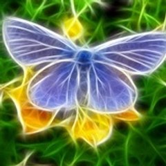 Bodynmind