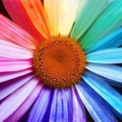 _CoLouRs_