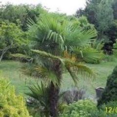 EVELYNE BOUREAU