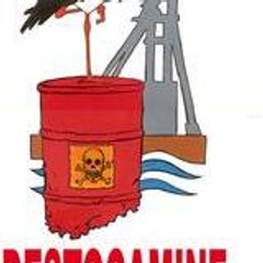 collectif destocamine