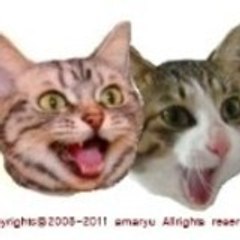 あまりゅう