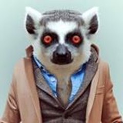 doctorlithops