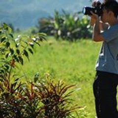 apeis2dailymotion