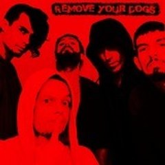 Remove Your dogs
