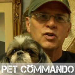 PetCommando