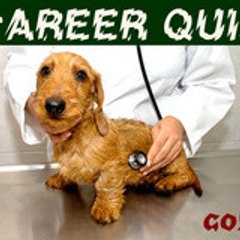 CAREER TEST