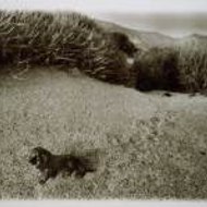 Πάνος Βαρδόπουλος