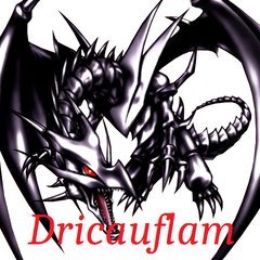 Dricauflam